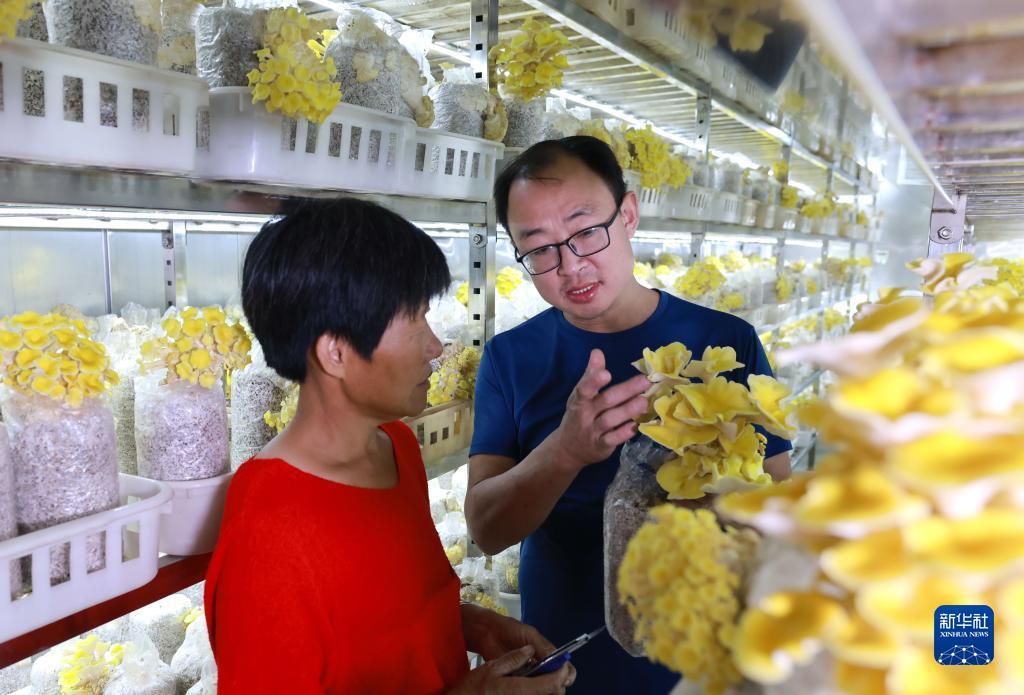 金沙充一元送十八